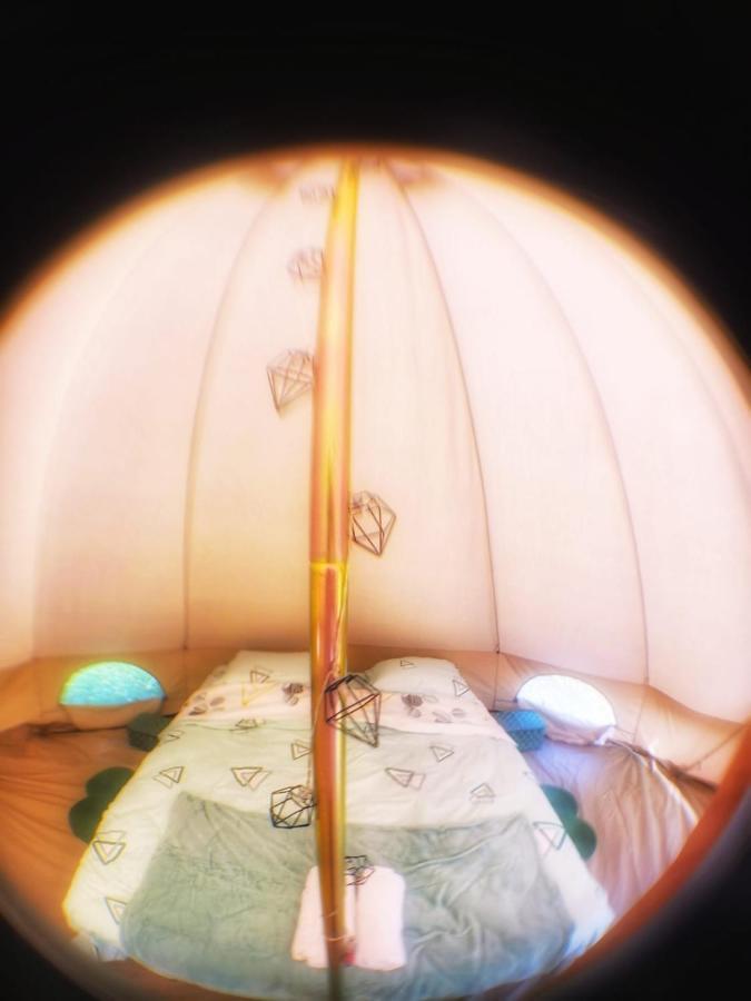 Luna Rock Glamping Brezoi - Blue Scai Bagian luar foto